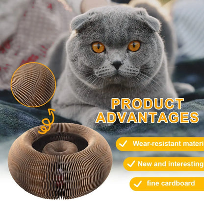 Clawvyn – Cat Scratch Board for Indoor Cats